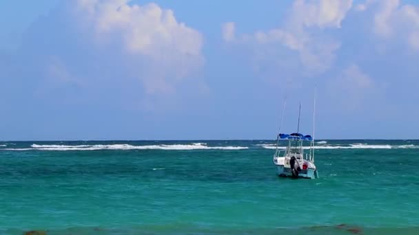 Amazing Beautiful Caribbean Coast Beach Panorama View Turquoise Water Waves — Stockvideo