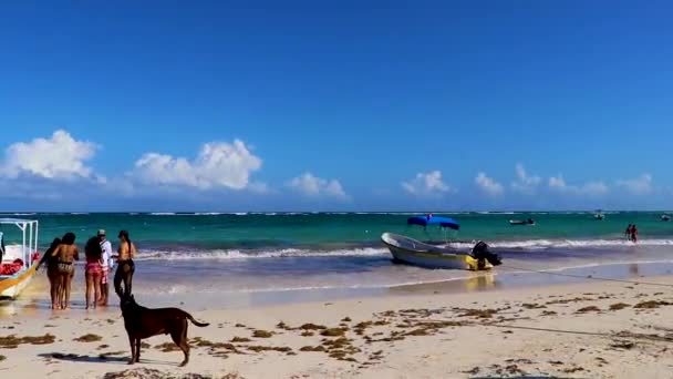 Tulum Mexico February 2022 Amazing Beautiful Caribbean Coast Beach Panorama — 비디오