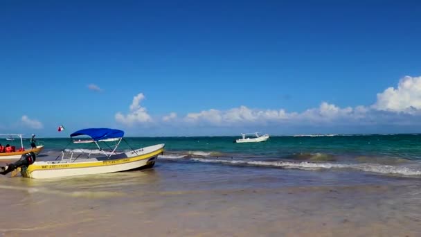 Tulum Meksyk Luty 2022 Niesamowity Piękny Karaibski Widok Wybrzeże Plażę — Wideo stockowe