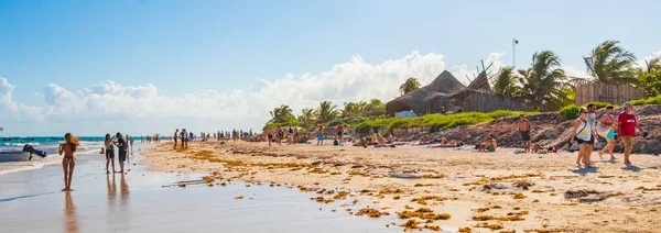 Tulum Mexico February 2022 Amazing Beautiful Caribbean Coast Beach Panorama — Foto de Stock