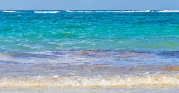 Amazing Beautiful Caribbean Coast Beach Turquoise Water Sargassum Tulum Quintana — 스톡 사진