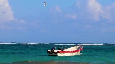 Tulum Mexico 02. February 2022 Pelicans birds at amazing and beautiful caribbean coast and beach panorama view with turquoise water waves and boats of Tulum in Quintana Roo Mexico.