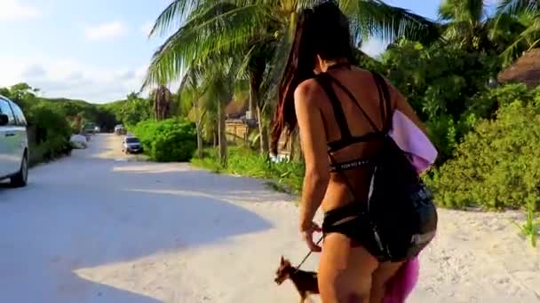 Tulum Mexico Février 2022 Femme Sexy Jolie Femme Avec Chien — Video