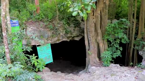 Entrance Walking Path Amazing Blue Turquoise Water Limestone Cave Sinkhole — Vídeos de Stock