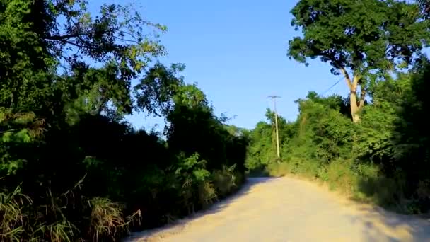 Entrance Walking Path Amazing Blue Turquoise Water Limestone Cave Sinkhole — Stock videók