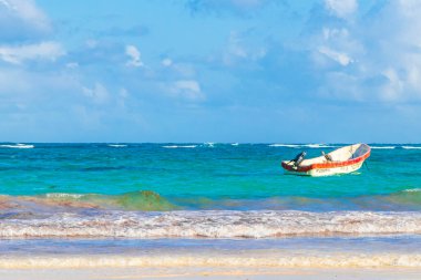 Tulum Meksika 02. Şubat 2022 Pelikan kuşları Quintana Roo Mexico 'da turkuaz su dalgaları ve Tulum tekneleri ile Karayip sahillerinde ve sahil manzarasında.
