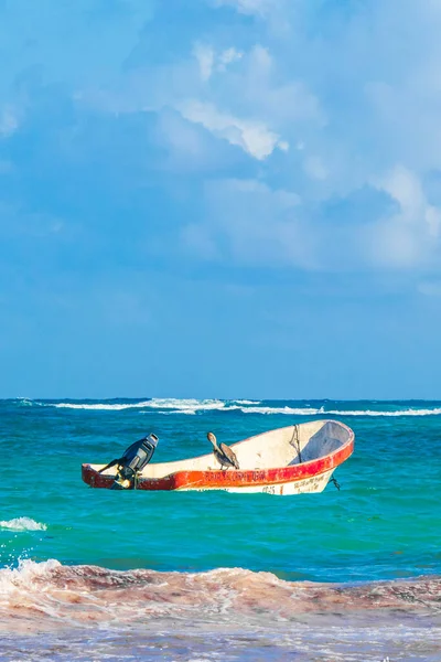 Tulum Meksika 02. Şubat 2022 Pelikan kuşları Quintana Roo Mexico 'da turkuaz su dalgaları ve Tulum tekneleri ile Karayip sahillerinde ve sahil manzarasında.