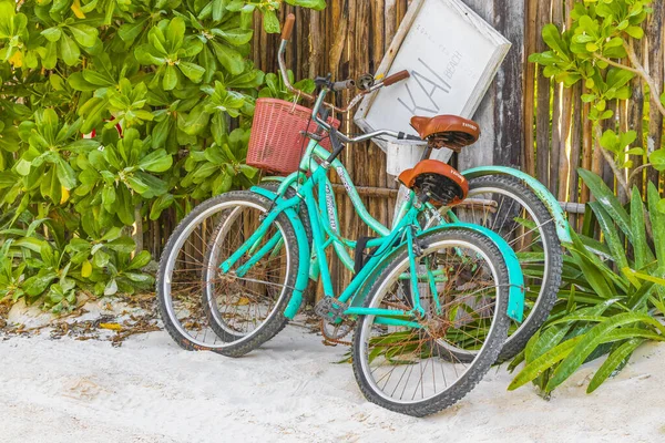 시계추 멕시코 February 2022 Turquoise Bikes Bicycles Amazing Beautiful Caribbean — 스톡 사진