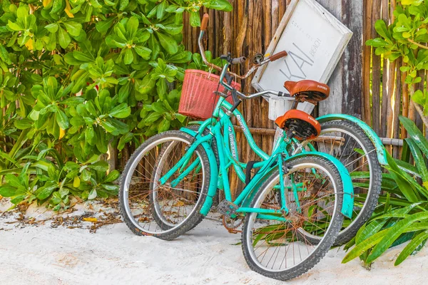 시계추 멕시코 February 2022 Turquoise Bikes Bicycles Amazing Beautiful Caribbean — 스톡 사진