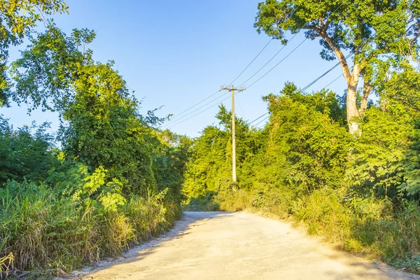 Chemuyil Quintana Roo Mexico 'daki muhteşem mavi turkuaz suya ve kireçtaşı mağara çukuruna giriş ve yürüyüş yolu.