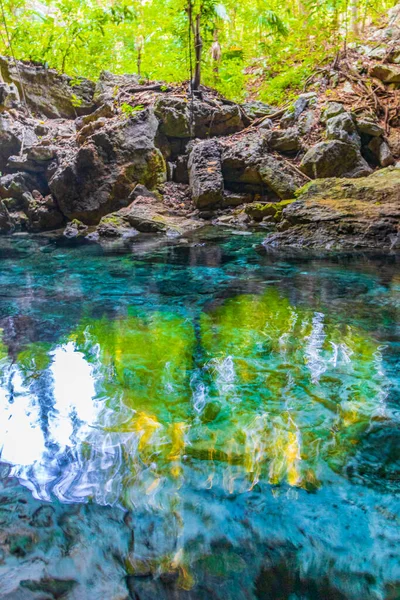 Amazing Blue Turquoise Water Limestone Cave Sinkhole Cenote Chemuyil Quintana — Fotografia de Stock