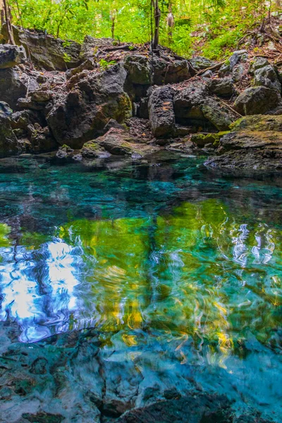 Amazing Blue Turquoise Water Limestone Cave Sinkhole Cenote Chemuyil Quintana — ストック写真