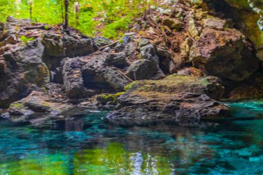 İnanılmaz mavi turkuaz su ve kireçtaşı mağara çukuru. Chemuyil Quintana Roo Mexico 'da..