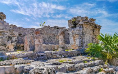 Antik Tulum, Tulum Meksika 'daki tropikal doğal orman palmiyesi ve deniz manzarasında tapınak kalıntıları ve eserlerle Maya bölgesini harabeye çeviriyor..