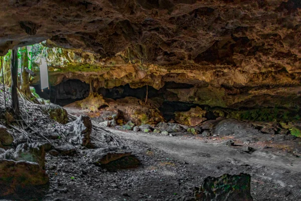 Amazing Blue Turquoise Water Limestone Cave Sinkhole Cenote Chemuyil Quintana — Stockfoto