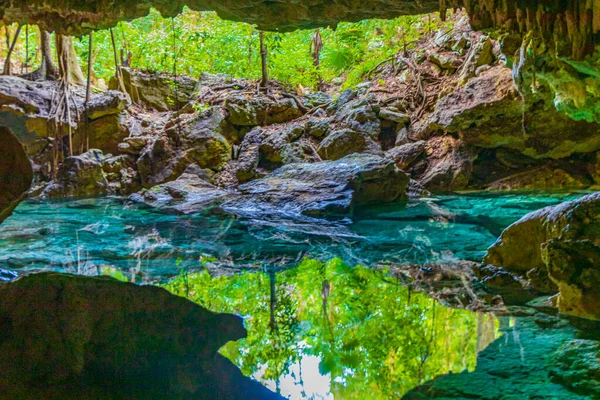 Amazing Blue Turquoise Water Limestone Cave Sinkhole Cenote Chemuyil Quintana —  Fotos de Stock