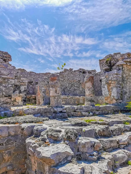 Antik Tulum, Tulum Meksika 'daki tropikal doğal orman palmiyesi ve deniz manzarasında tapınak kalıntıları ve eserlerle Maya bölgesini harabeye çeviriyor..