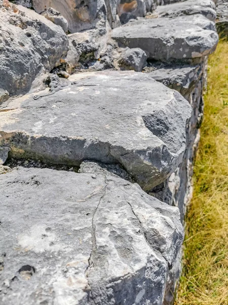Antik Tulum, Tulum Meksika 'daki tropikal doğal orman palmiyesi ve deniz manzarasında tapınak kalıntıları ve eserlerle Maya bölgesini harabeye çeviriyor..