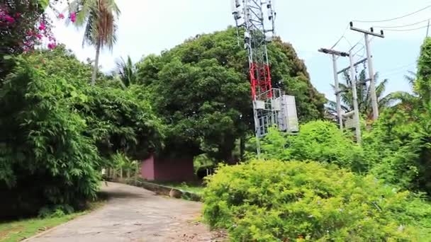 Djungelskog Och Tropisk Natur Regnperioden Koh Samui Thailand — Stockvideo
