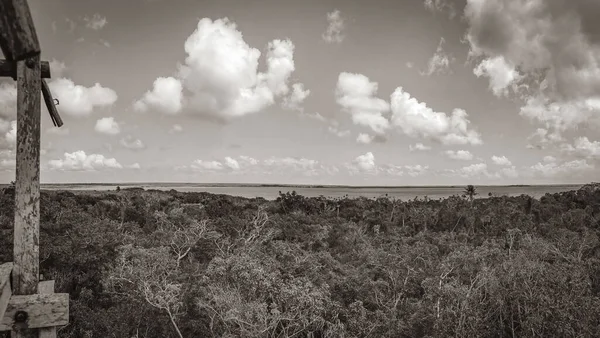 Old Black White Picture Panorama View Muyil Lagoon Wooden Viewpoint — стоковое фото