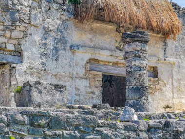 Antik Tulum, Tulum Meksika 'daki tropikal doğal orman palmiyesi ve deniz manzarasında tapınak kalıntıları ve eserlerle Maya bölgesini harabeye çeviriyor..