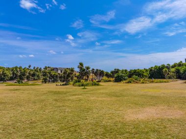 Antik Tulum, Tulum Meksika 'daki tropikal doğal orman palmiyesi ve deniz manzarasında tapınak kalıntıları ve eserlerle Maya bölgesini harabeye çeviriyor..