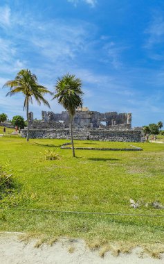 Antik Tulum, Tulum Meksika 'daki tropikal doğal orman palmiyesi ve deniz manzarasında tapınak kalıntıları ve eserlerle Maya bölgesini harabeye çeviriyor..