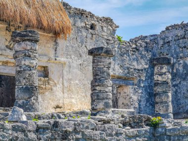 Antik Tulum, Tulum Meksika 'daki tropikal doğal orman palmiyesi ve deniz manzarasında tapınak kalıntıları ve eserlerle Maya bölgesini harabeye çeviriyor..