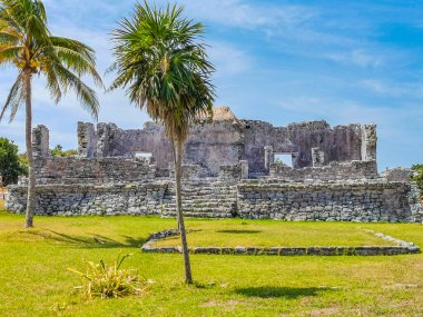 Antik Tulum, Tulum Meksika 'daki tropikal doğal orman palmiyesi ve deniz manzarasında tapınak kalıntıları ve eserlerle Maya bölgesini harabeye çeviriyor..