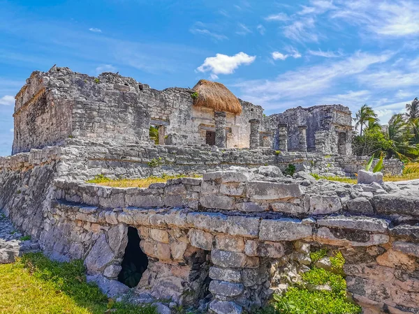Antik Tulum, Tulum Meksika 'daki tropikal doğal orman palmiyesi ve deniz manzarasında tapınak kalıntıları ve eserlerle Maya bölgesini harabeye çeviriyor..