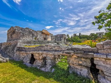 Antik Tulum, Tulum Meksika 'daki tropikal doğal orman palmiyesi ve deniz manzarasında tapınak kalıntıları ve eserlerle Maya bölgesini harabeye çeviriyor..