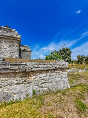 Antik Tulum, Tulum Meksika 'daki tropikal doğal orman palmiyesi ve deniz manzarasında tapınak kalıntıları ve eserlerle Maya bölgesini harabeye çeviriyor..