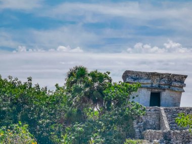 Antik Tulum, Tulum Meksika 'daki tropikal doğal orman palmiyesi ve deniz manzarasında tapınak kalıntıları ve eserlerle Maya bölgesini harabeye çeviriyor..