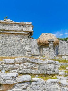 Antik Tulum, Tulum Meksika 'daki tropikal doğal orman palmiyesi ve deniz manzarasında tapınak kalıntıları ve eserlerle Maya bölgesini harabeye çeviriyor..