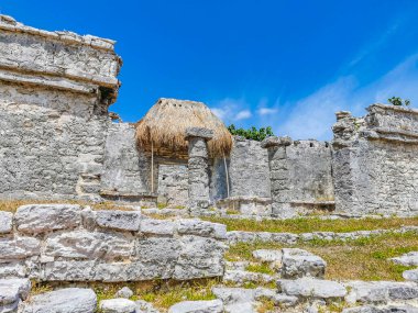Antik Tulum, Tulum Meksika 'daki tropikal doğal orman palmiyesi ve deniz manzarasında tapınak kalıntıları ve eserlerle Maya bölgesini harabeye çeviriyor..