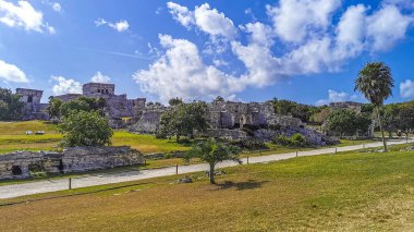 Antik Tulum, Tulum Meksika 'daki tropikal doğal orman palmiyesi ve deniz manzarasında tapınak kalıntıları ve eserlerle Maya bölgesini harabeye çeviriyor..