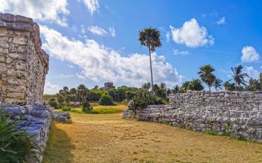 Antik Tulum, Tulum Meksika 'daki tropikal doğal orman palmiyesi ve deniz manzarasında tapınak kalıntıları ve eserlerle Maya bölgesini harabeye çeviriyor..