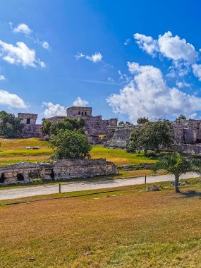 Antik Tulum, Tulum Meksika 'daki tropikal doğal orman palmiyesi ve deniz manzarasında tapınak kalıntıları ve eserlerle Maya bölgesini harabeye çeviriyor..