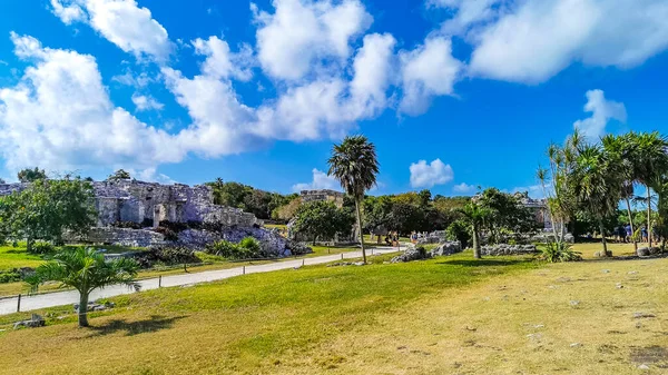Antik Tulum, Tulum Meksika 'daki tropikal doğal orman palmiyesi ve deniz manzarasında tapınak kalıntıları ve eserlerle Maya bölgesini harabeye çeviriyor..