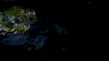 Amazing blue turquoise water and limestone cave sinkhole cenote in Chemuyil Quintana Roo Mexico.