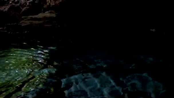 素晴らしい青ターコイズブルーの水と石灰岩の洞窟の陥没穴は ケムウィル キンタナ メキシコに集中しています — ストック動画