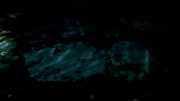 Удивительная Голубая Бирюзовая Вода Известняковая Пещера Провал Кенота Chemuyil Quintana — стоковое видео