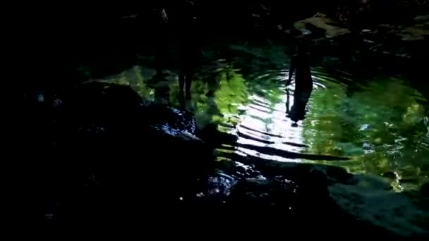 Amazing Blue Turquoise Water Limestone Cave Sinkhole Cenote Chemuyil Quintana — Stock videók