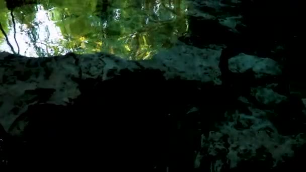 Amazing Blue Turquoise Water Limestone Cave Sinkhole Cenote Chemuyil Quintana — Vídeo de stock