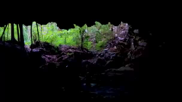Erstaunlich Blaues Türkisfarbenes Wasser Und Kalksteinhöhlen Cenote Chemuyil Quintana Roo — Stockvideo