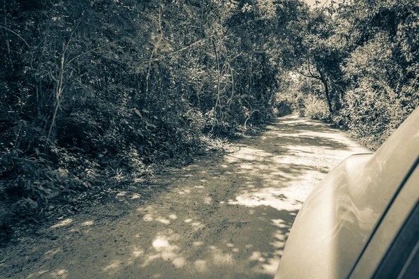 Old Black White Picture Driving Gravel Path Road Jungle Tropical — Stock Photo, Image