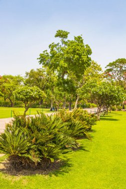 Agra Hindistan 'daki Taj Mahal 17. yüzyılın ünlü simetrik bahçelerinin mermer mozolesi ve panoraması..