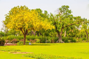 Agra Hindistan 'daki Taj Mahal 17. yüzyılın ünlü simetrik bahçelerinin mermer mozolesi ve panoraması..
