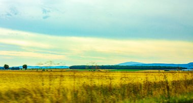 Aracın içinden Alman otobanına doğru sürüyordu..