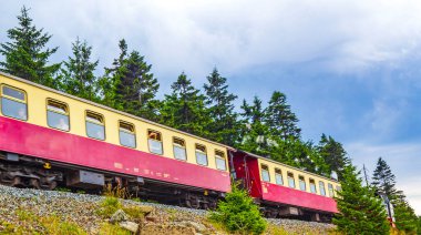 Harz dağlarında Brockenbahn Lokomotifi ve köknar ağaçları ve manzara manzaralı tren Harz dağlarının zirvesinde Wernigerode Saksonya-Anhalt Almanya